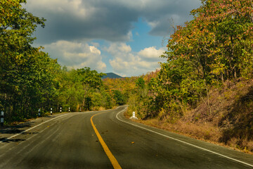 Road and forest color  on both sides