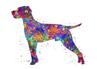 Hungarian Vizsla Dog watercolor, abstract painting. Watercolor illustration rainbow, colorful, decoration wall art.	