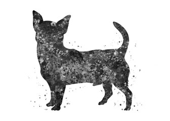 Chihuahua Dog black and white watercolor, abstract painting. Watercolor illustration rainbow, colorful, decoration wall art.