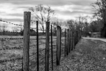 Monochrome barbed wire fence background