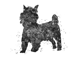yorkshire terrier Dog black and white watercolor, abstract painting. Watercolor illustration rainbow, colorful, decoration wall art.