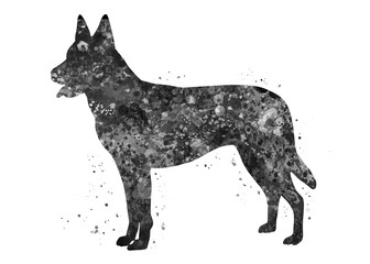 Dutch shepherd Dog black and white watercolor, abstract painting. Watercolor illustration rainbow, colorful, decoration wall art.