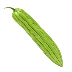 Bitter melon , Bitter gourd on white background