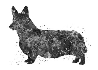 Corgi Dog black and white watercolor, abstract painting. Watercolor illustration rainbow, colorful, decoration wall art.