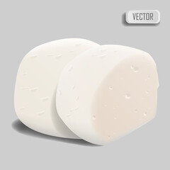 Mozzarella cheese. Realistic cheese on white background. Vector illustration