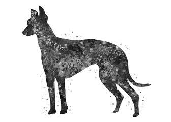 Greyhound Dog black and white watercolor, abstract painting. Watercolor illustration rainbow, colorful, decoration wall art.