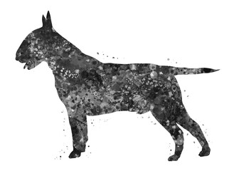 Bull Terrier dog black and white watercolor, abstract painting. Watercolor illustration rainbow, colorful, decoration wall art.