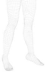 Wireframe of girls legs isolated on white background. 3D. Vector illustration