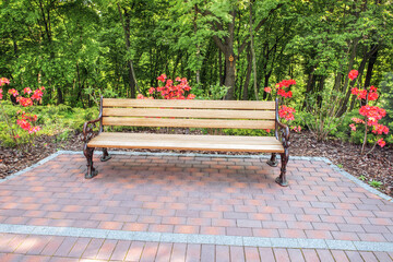A cozy corner in the park - a comfortable bench, deciduous forest and flowering azalea bushes.
