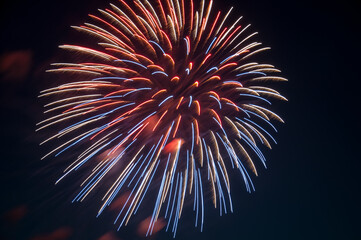 Japanisches Feuerwerk in Düsseldorf