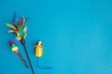Set of accessories for the cat on blue background. Mouse, toy. Caring concept. Feline background. Top view, flat lay