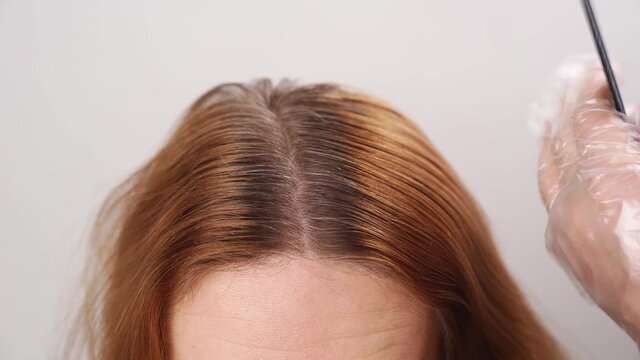 self-coloring the gray roots of hair on the head of a woman. beauty salon and hairdresser.