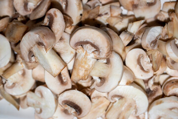 mushrooms, food background. close up. 