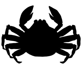 大きな蟹のシルエット