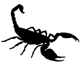 毒を持つ恐怖のサソリのシルエット