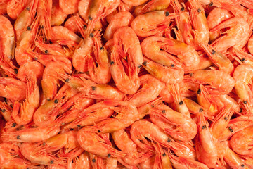 Frozen pink raw shrimp in box top view. Uncooked unpeeled seafood close up background. Fish or food market concept