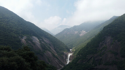 Fototapeta premium 屋久島 千尋滝 屋久杉 国立公園 鹿児島