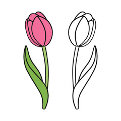 Tulip flower line illustration. Minimalist art. Set of colorful and line illustration