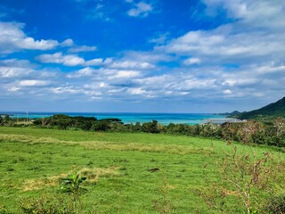 沖縄の美しい空と海とさとうきび畑の風景