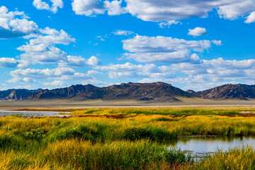 【モンゴル】水の中に生える色鮮やかな草