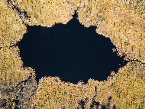 Aerial view of a small bog lake in Lithuania