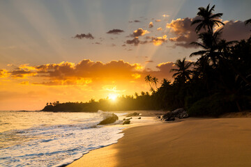 Fototapeta na wymiar Romantic sunset on a tropical beach with palm trees. Vacation at sea