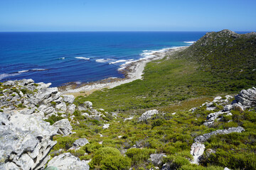 Fototapeta na wymiar Cape Point Nature Reserve, Cape Town, South Africa