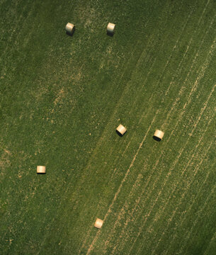 Aerial view of a meadow with wheat straw rolls in the Po Valley, Lombardy, Italy.