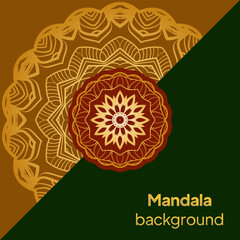 Template with floral background. Vector illustration design