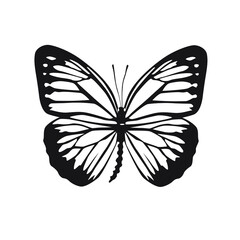 Vector illustration of silhouette butterfly cartoon on white background - 415989201