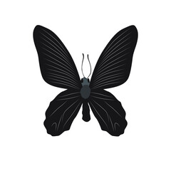 Vector illustration of silhouette butterfly cartoon on white background - 415989275
