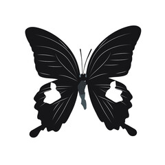 Vector illustration of silhouette butterfly cartoon on white background - 415989410