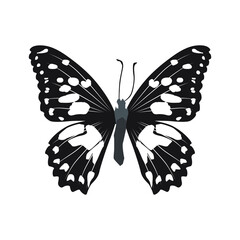 Vector illustration of silhouette butterfly cartoon on white background - 415989483