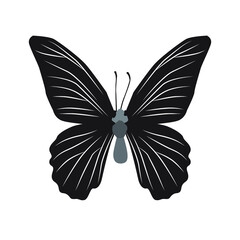 Vector illustration of silhouette butterfly cartoon on white background - 415989621