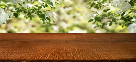 White spring blossoms with empty wooden table. Sunny background with short depth of field. Space...
