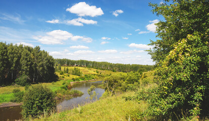 Fototapeta na wymiar Landscape with river and forest