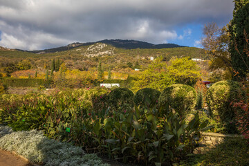 Yalta, Crimea, November 25, 2020, walk through the Nikitsky Botanical Garden, views of trees, flowers, palm trees