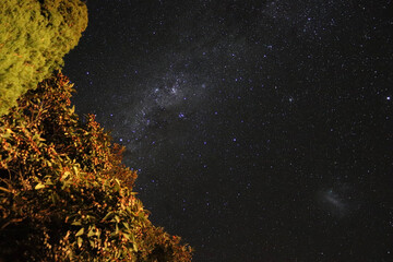 coffee in the ground