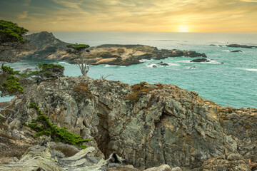 Obraz premium Cypress tree on a rocky point viewed from the Cypress grove trail in Point Lobos State Park on central coast of California.