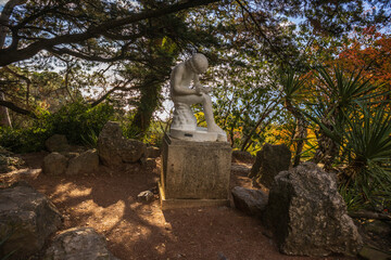 Yalta, Crimea, November 25, 2020, walk through the Nikitsky Botanical Garden, views of trees, flowers, palm trees