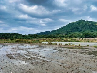 沖縄の田舎の村の晴れた日の静かな田園風景