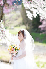 満開の桜 桜の背景 ウエディング 日本人の花嫁のポートレート 新婦 結婚式前撮り写真 Wall Mural Apiox