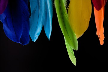 Colourful feather close up isolated on black background