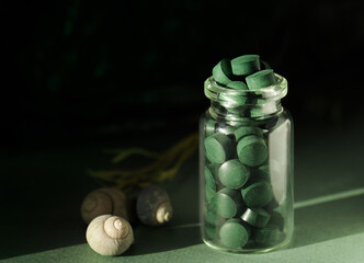 Spirulina Chlorella in glass jar, sea shells on green background. Antioxidant nutrition....