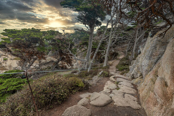 Beautiful landscape view of the hiking trail on the rocky Pacific coast at Point Lobos State Reserve in Carmel, California.