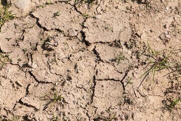 close up of dry cracked soil with some plants