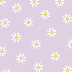 Fototapeta na wymiar Daisy, chamomile flowers seamless pattern. Floral texture. Vector illustration.