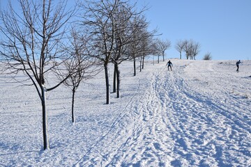 skiing in the snow