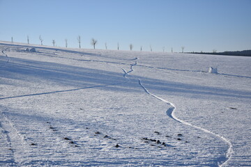 Lines in the snow