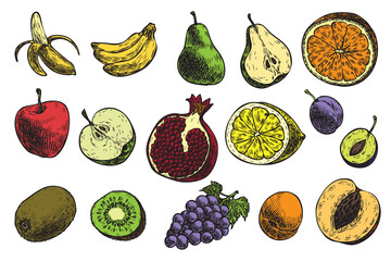 Set of fruits: banana, apple, pear, plum, etс.
Hand drawn colorful fresh fruits. Vector illustration on the white background. Organic food.